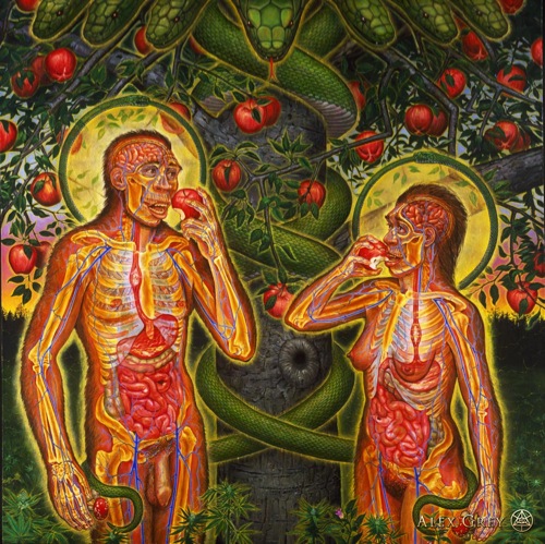 Alex_Grey-Adam_and_Eve